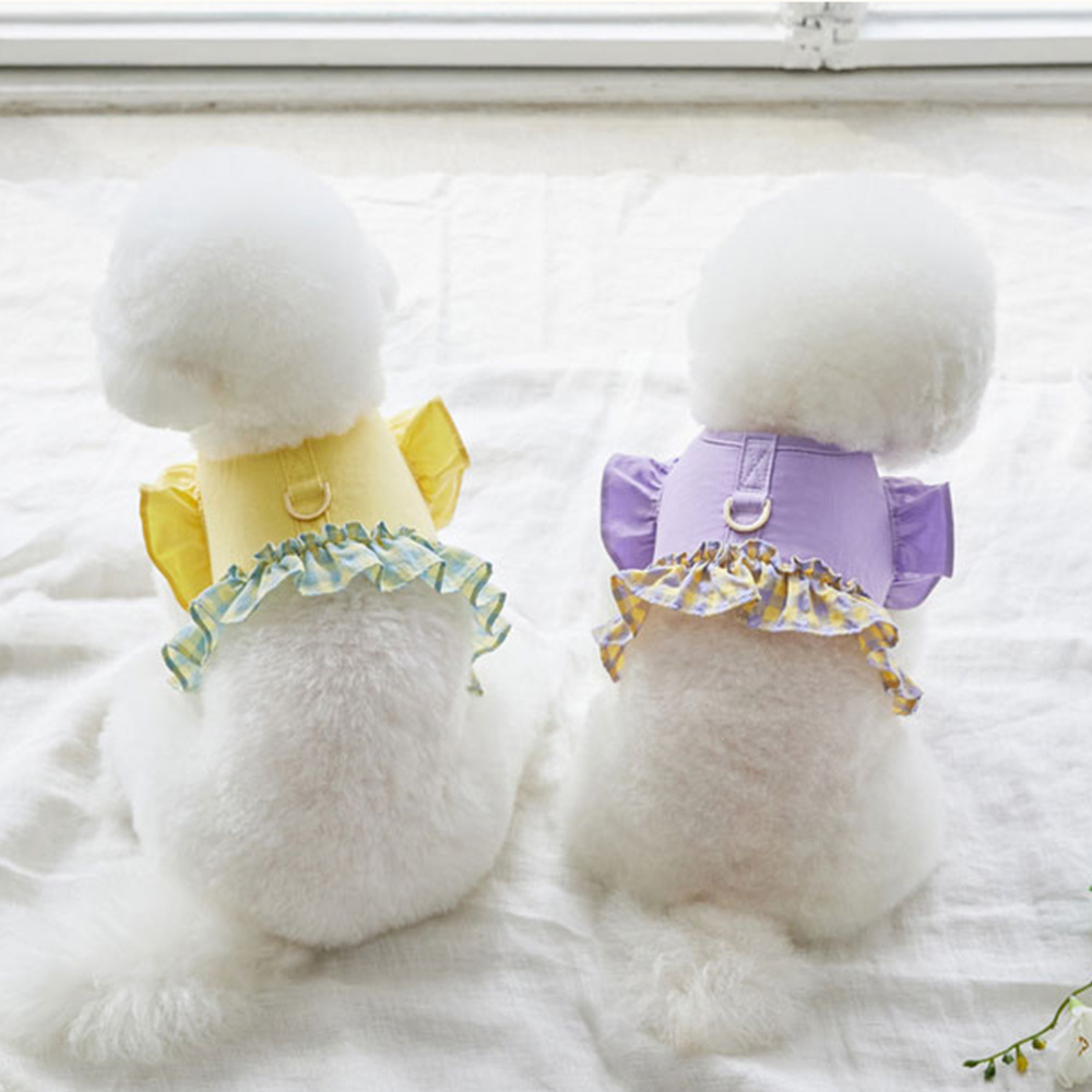 Dog Color Contrast Traction Ro - Lace Teddy Lingerie ulasan dan harga