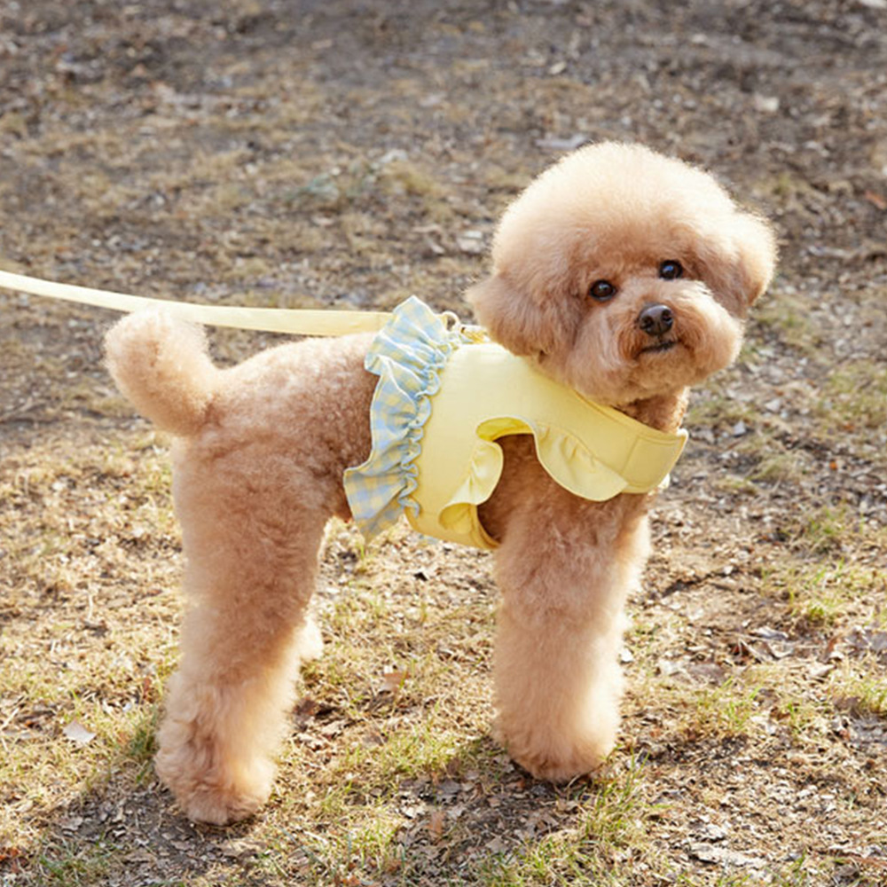 Dog Color Contrast Traction Ro - Lace Teddy Lingerie ulasan dan harga