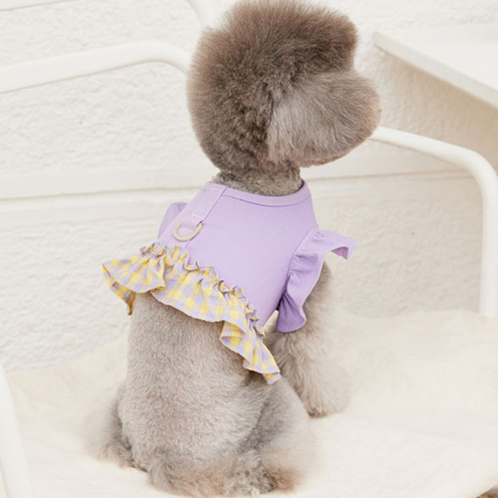 Dog Color Contrast Traction Ro - Lace Teddy Lingerie ulasan dan harga