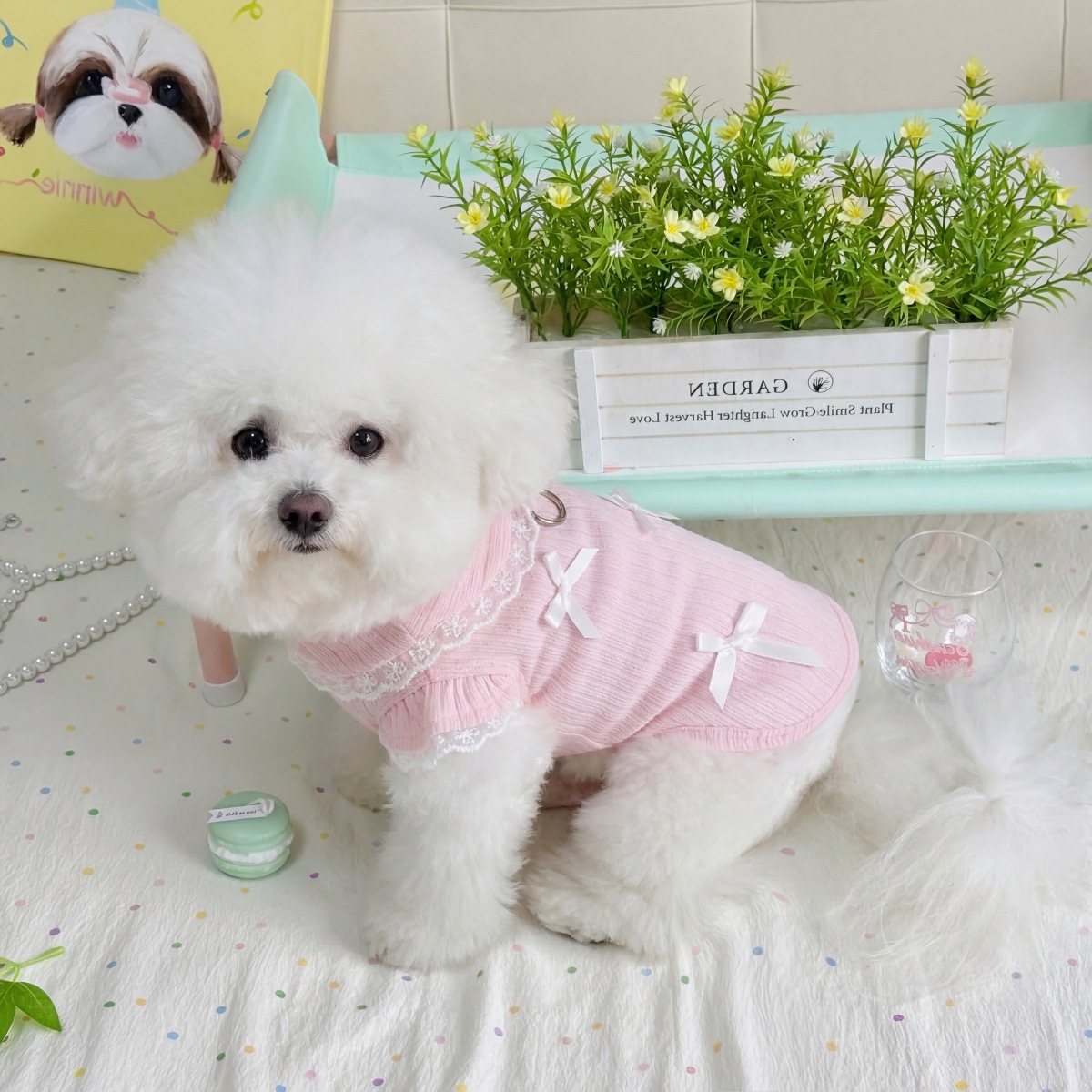 Pet Spring Lace Bow Vest Can P - Lace Teddy Lingerie ulasan dan harga