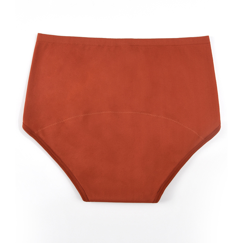 Women’s Seamless Period Pantie - Period Panty Absorbent ulasan dan harga