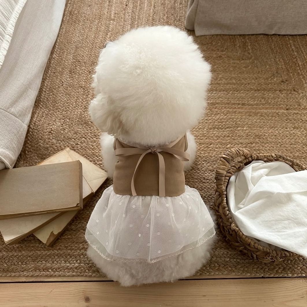 Spring and Summer Pet Lace Cam - Lace Teddy Lingerie ulasan dan harga